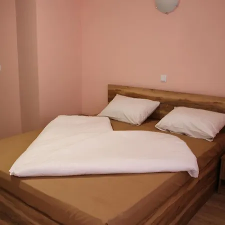 александър Hotel 3*