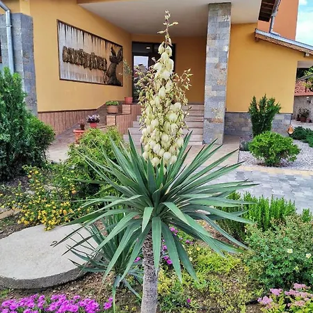александър 3*
